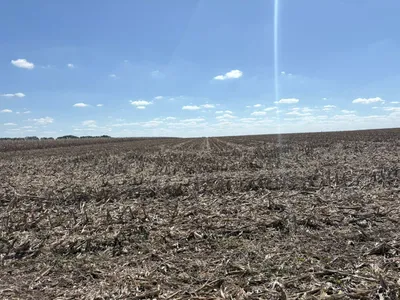 167 hectáreas en el Sur de Santa Fe